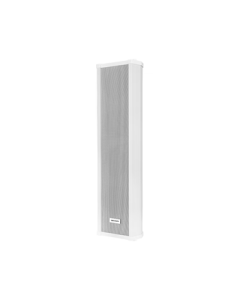 Hikvision (HIKVISION) Smart Waterproof Audio Column Outdoor Camera Voice Alarm Speaker Wall-mounted School Playground Announcement Broadcast Supermarket Workshop Station Background Music Active Speaker Outdoor 60W