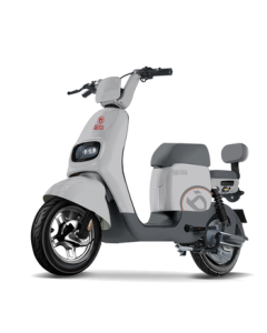 Baodao Self-operated New Electric Bicycle N1848V 24Ah New National Standard Xingheng Lithium Battery Long Range 80km Story Gray