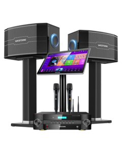 Westin Home KTV Audio System All-in-One Karaoke Machine Set with 10-Inch Quad-Frequency Speaker, Smart Voice Control, Full-Set Karaoke Equipment for Living Room Home Theater