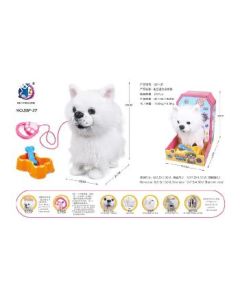 Leash pet set