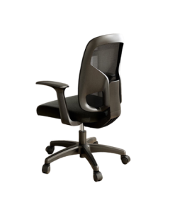Deli 4900S Ergonomic Backrest Office Chair/Computer Chair/Staff Chair with Adjustable Height and Swivel Function, Comfortable Cotton Cushion, Black