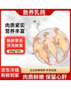 Dongxian Fresh Pigeon 350g*3 Free-Range Frozen Pigeon Meat for Soup, Grilling, Sourced Directly