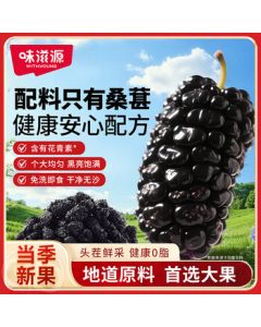Weiziyuan Dried Mulberries 240g, Xinjiang Sand-Free Mulberries, Health Tea, Ready-to-Eat Mulberries for Wine or Tea, Individually Packed