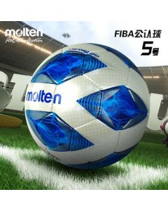 Molten FIFA Approved Hand-Stitched Size 5 Official Match Football F5A4800