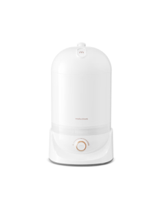 Morphyrichards Sterilization Humidifier for Bedroom, Home, Office, Desktop, Pregnant Women & Babies, Large Capacity, Low Noise, High Mist Output, Air Conditioner Companion Humidifier MR2803