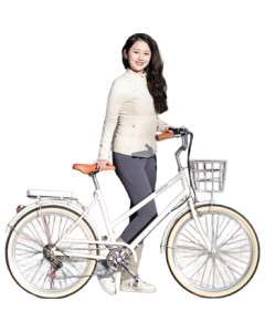 Flying Pigeon City Bicycle Low-Step 24-Inch 6-Speed Unisex Adult Student Teen Leisure Commuter Bike