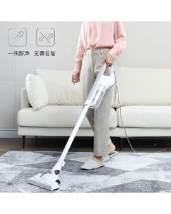 Vacuum cleaner hand-held mite remover