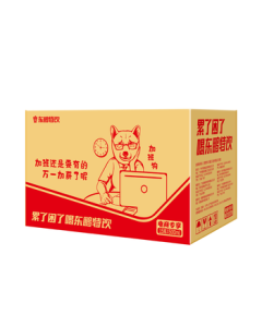 Dongpeng Special Drink 500ml*15 Bottles Vitamin Energy Drink - When You're Tired or Sleepy, Drink Dongpeng