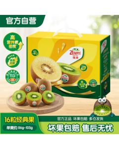 Zespri Green Kiwifruit Gift Box (16 Pieces, Approx. 86-103g per Fruit) - Mid-Autumn Festival Fruit Gift Box - Kiwi