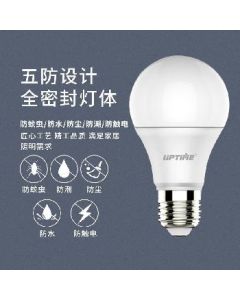 LED bulb E27 screw 5W 6500K