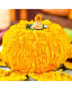 Baby pumpkin