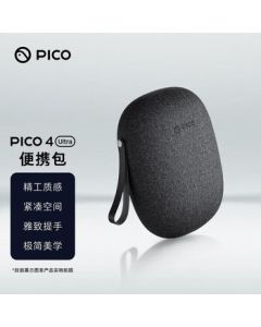 PICO 4 Ultra Portable Case