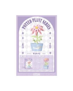 ZINNIA 83PCS