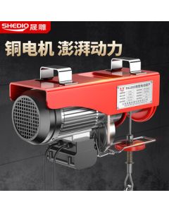 Shengdiao Mini Electric Hoist 220V Small Lifting Machine Single-Phase Lifting Hoist Elevator Winch PA600*20M