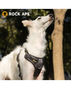 Rock Planet Pet Harness for Outdoor Use RAPT010 Pet Travel Anti-Pull Harness Black Size M