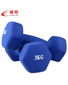 Chengyue Color Coated Dumbbell Set for Men and Women, Home Fitness Shaping Equipment, 3kg*2, Blue CY-100