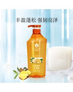 Bee & Flower Ginger & Hops Shampoo for Men and Women - Oil Control, Volumizing, Smoothing - 750ml