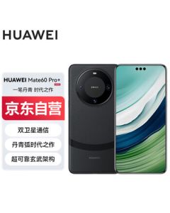 HUAWEI Mate 60 Pro+ 16GB+256GB Ink Black