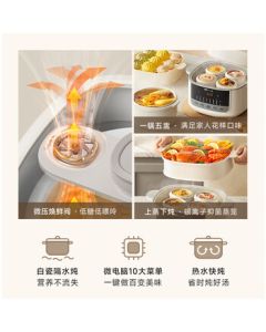 Bear (Bear) Electric Stew Pot, Double-Boiler Stew Pot, Electric Stewing Pot, Soup Pot, Bird's Nest Stewing Pot, Stew Pot, Baby Porridge Maker, Steaming Pot with Steamer DDZ-J25G2 4.1L with Steamer