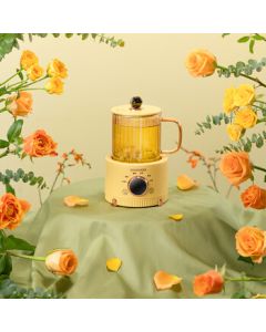 DAEWOO Creamy Mini Multi-functional Health Pot Y01