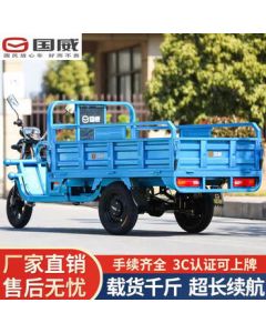 Guo Wei Shen Bao 5A Electric Tricycle Motorcycle - Heavy-Duty Agricultural Freight & Household Battery-Powered Vehicle (6020) Flat Road Model