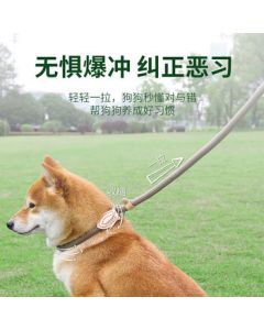 Jiasigao Pet P-Chain Medium Size Dog Leash, Dog Collar for Small to Medium Dogs, Training and Walking Harness