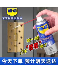 WD-40 Door Lock Lubricant, Hinge Noise Eliminator, Household Lubricant for Door & Window Hinges, Lock Cylinders, Keyholes, and Mechanical Parts
