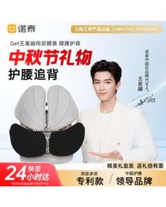 Nuotai Ergonomic Lumbar Support Pillow - Office Back Cushion for Long Sitting, Car Seat Backrest Cushion K09 Black