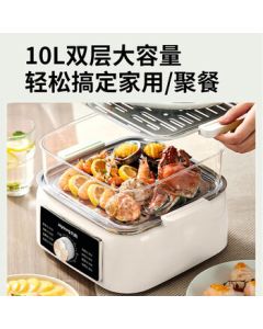 Joyoung Electric Steamer DZ100HG-GZ605