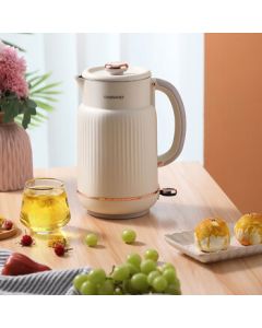 DAEWOO Electric Kettle, Household Double-Layer Heat-Resistant 304 Stainless Steel Inner Pot DYSH-15F82-zx