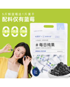 Yoguo Paradise Blueberry Dried Fruit No Sugar No Oil No Additives 250g, Pregnancy Snacks Blueberry Dried Fruit in Individual Small Packets, Original Flavor