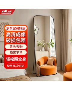 Little Magic Internet-Famous Dressing Mirror Full-Length Floor Mirror Clothing Store Fitting Mirror Ins Home Wall-Mounted Bedroom Entryway Mirror