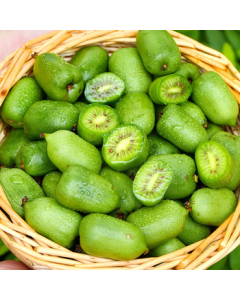 Jingsiansheng Xi'an Soft Jujube Kiwifruit, Net Weight 2 Jin (Approx. 1kg), Single Fruit 10g+, Fresh Fruit Direct from Source