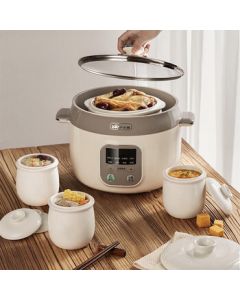 Bear Electric Stew Pot, Double Boiler, Soup Pot, Baby Porridge Cooker with Preset Timer, Bird's Nest Steamer, 2.5L DDZ-C25K1