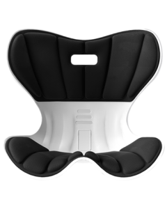 Fujita Pharmaceutical Lumbar Support Cushion for Office Chair, Comfortable & Breathable Ergonomic Back Cushion for Long Sitting, Starry Black F1