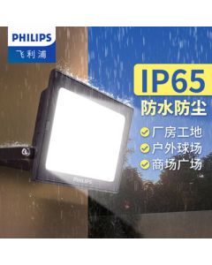 PHILIPS LED Floodlight Outdoor Waterproof High-Power Spotlight for Billboard, Warehouse, and Area Lighting, 200W, White Light 6500K