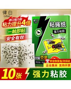 Lv Bai Fly Trap Stickers 10pcs - Super Sticky Fly Paper for Fruit Flies & Small Insects, Fly Catcher & Killer, Mosquito & Bug Glue Board
