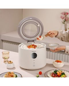 Daewoo (DAEWOO) 4L Smart Rice Cooker with Multi-Function, Visual Window, and Preset Timer - Model DYFB-409F