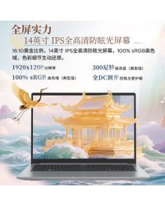 Lenovo Ruitian Business Office & Student Lightweight Ryzen Edition Laptop 14-inch (Ryzen R7 8745HS 16GB DDR5 512GB SSD) Silver Gray