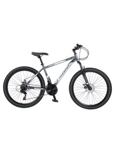 Phoenix Mountain Bike for Adults, Students, and Children - ZB888 26-inch 24-Speed Gray with Disc Brakes and Off-Road Gear Shift