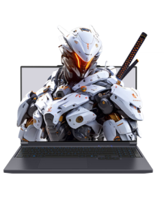 MECHREVO Aurora X Intel Core i7HX Gaming Laptop (i7-13700HX 16GB 1TB RTX5060 2.5K Display 180Hz Gray)