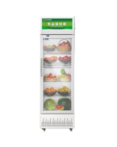 Shentop Food Sample Storage Cabinet Commercial Vegetable Fruit Refrigerator Single Door Display Cabinet for School Kindergarten Canteen Fresh-Keeping Cabinet STLW-LY280