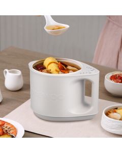 DAEWOO Multi-function Electric Cooking Pot DYZG-12K05