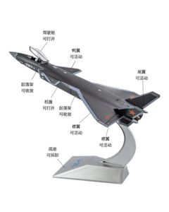 Junpinshijia 1:48 J-20 Aircraft Model Stealth Fighter J20 Alloy Simulation Ornament Veteran Retirement Souvenir