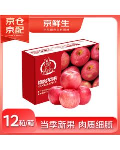 Jingxiansheng Yantai Red Fuji Apples, Net Weight 5.2 Jin/12 Pieces, Single Fruit 190-240g, Mid-Autumn Festival Fruit Gift Box