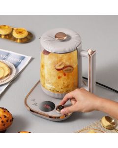 DAEWOO 1.8L Multi-functional Glass Teapot for Home and Office, Herbal Tea Kettle, Health Pot DYYS-80018, 1.8L