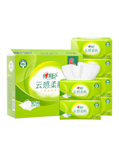 Hearttex Facial Tissue, Cloud-Touch Soft Skin, 3-Ply 600 Sheets True S Size, Gentle on Skin, Virgin Wood Pulp, Pack with Handle