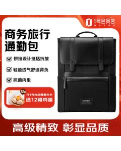 Samsonite Flip-Top Design Business Travel Commuter Laptop Backpack NU4*09011