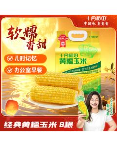 October Fields Yellow Glutinous Corn 3.52 lbs (220g x 8 Sticks) Fresh 2025 Corn Low-Fat Breakfast Snack Northeast Corn