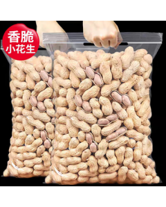 Zhanlang Yixuan Roasted Peanuts with Garlic Flavor in Shell – Bulk Pack 10 lbs